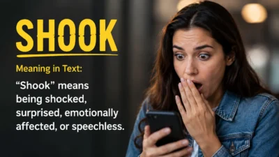 shook Meaning in Text