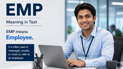 EMP Meaning in Text