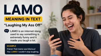 LAMO Meaning in Text