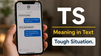 TS Meaning in Text