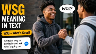 WSG Meaning in Text