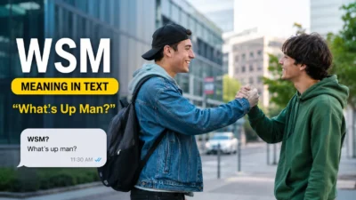 WSM Meaning in Text